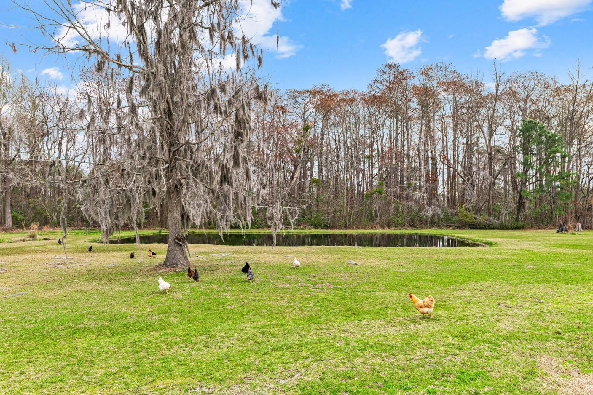 Cozy Country New Bern